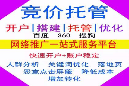 优化SEM竞价策略：成功案例剖析